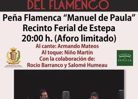 Flamenco: Armando Mateos
