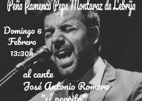 Flamenco: José Antonio Romero "El Perrito"