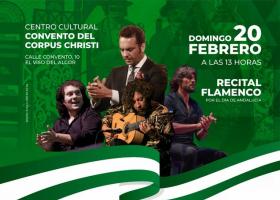 Recital Flamenco por el día de Andalucía