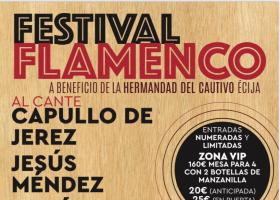 Festival Flamenco 