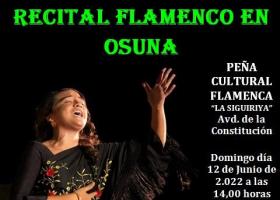 Recital Flamenco en Osuna