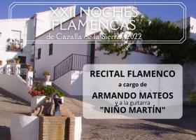 XXII Edición de las Noches Flamencas
