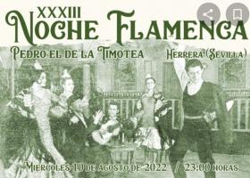 XXXIII Noche Flamenca Pedro el de la Timotea