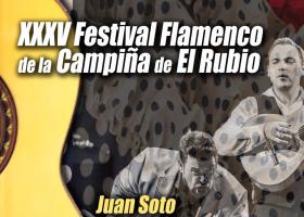 2019 -Festival Flamenco de la Campiña