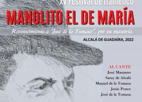 XV Festival Flamenco Manolito de María