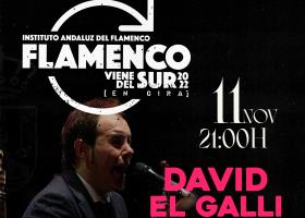 Flamenco: David `El Galli´