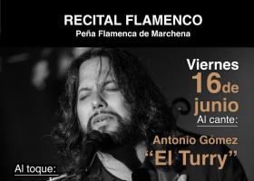 Flamenco: Recital Flamenco Antonio Gómez "El Turry"
