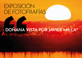 Exposición: Doñana vista por Javier Milla