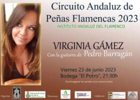 Flamenco: Virginia Gámez