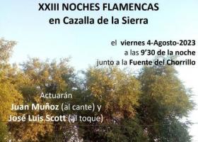 XXIII Noches Flamencas