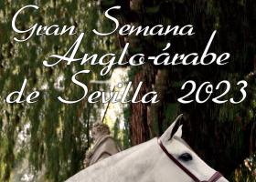 Gran Semana Anglo-árabe de Sevilla