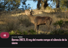 Excursiones guiadas Berrea 2023 en Almadén de la Plata
