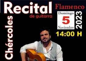 Flamenco: Recital Flamenco de guitarra
