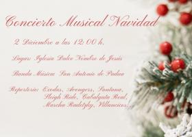 Concierto Musical Navidad